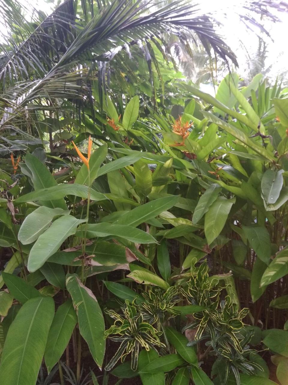 Three V Homestay Kuta  Eksteriør bilde